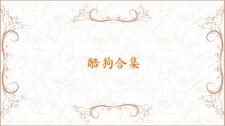 酷狗合集