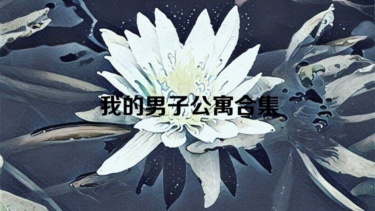 我的男子公寓合集